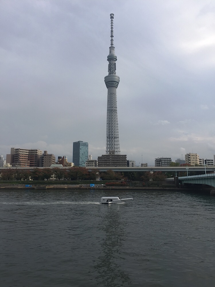 Yasuhiro Yamashita | 2020.11.08.14:00